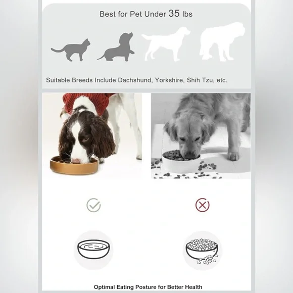 Bicopet Slow Feeder Pet Dog Ceramic Maze Non-Slip Silicone Rim Puzzle Heavy Duty - Picture 7 of 13